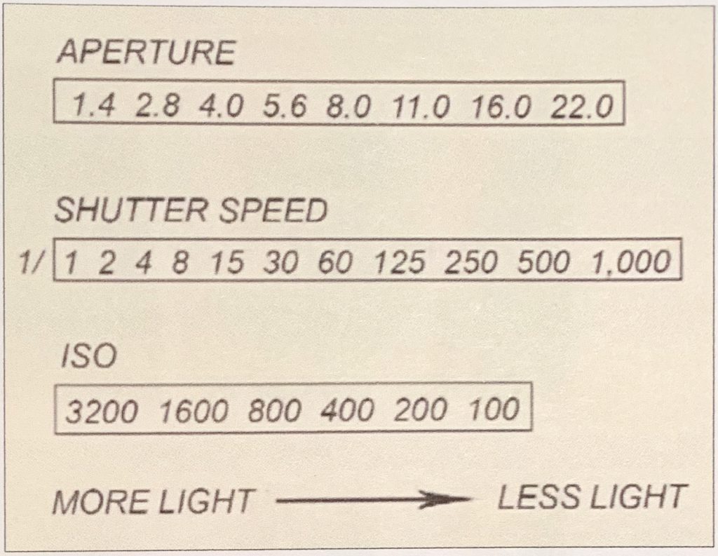 Light entering the camera sensor