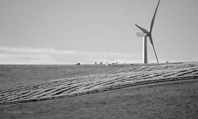 Wind turbine dominating the skyline