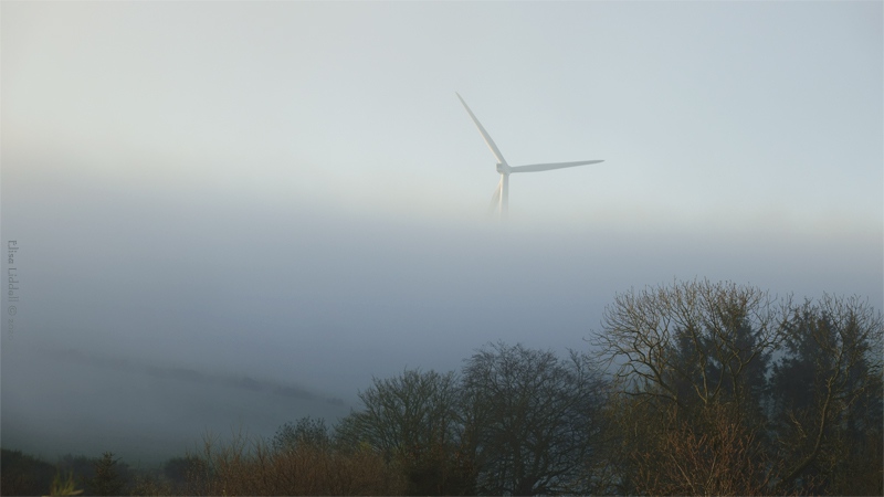 mist morning turbine