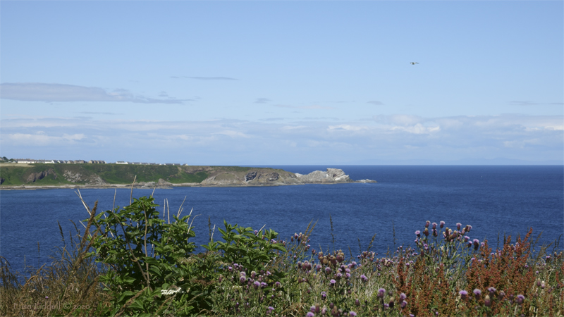 The view across Cullen Bay