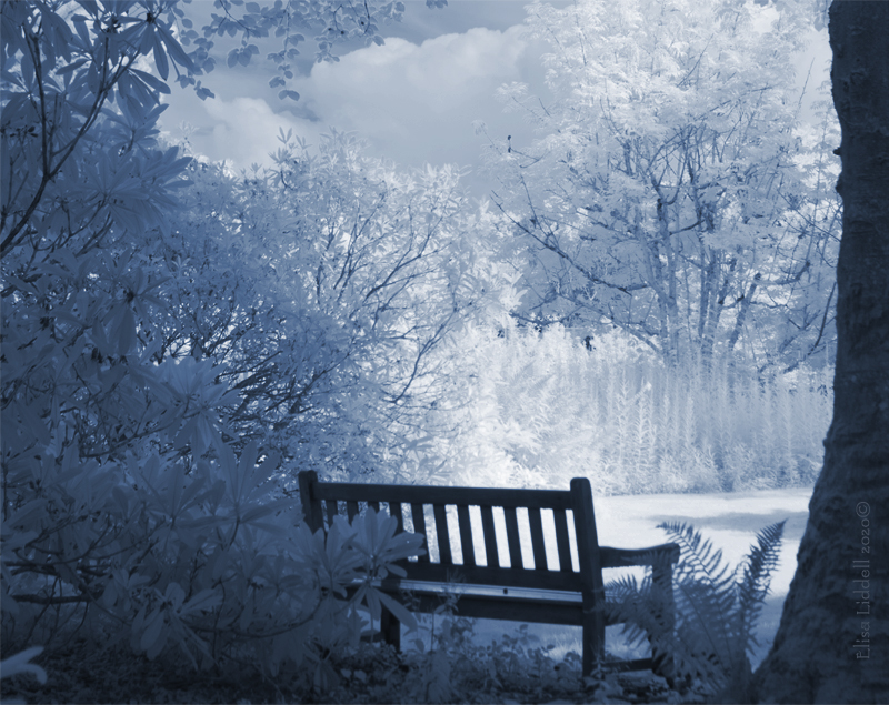 infrared bench in blue