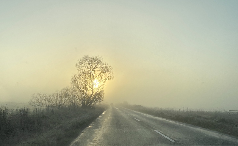 freezing fog on the road