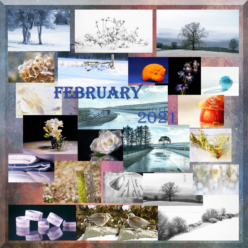 collage for February 2021