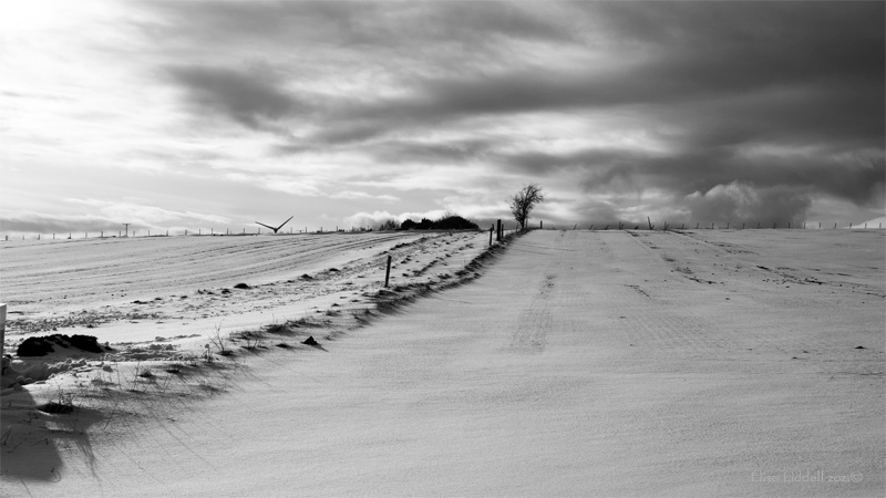 winter sunset in Spring