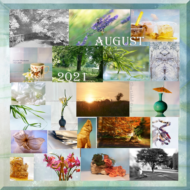 August collage of Flickr postings