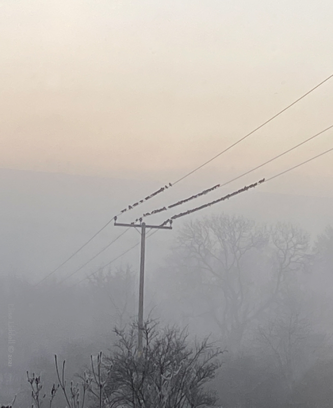 freezing fog