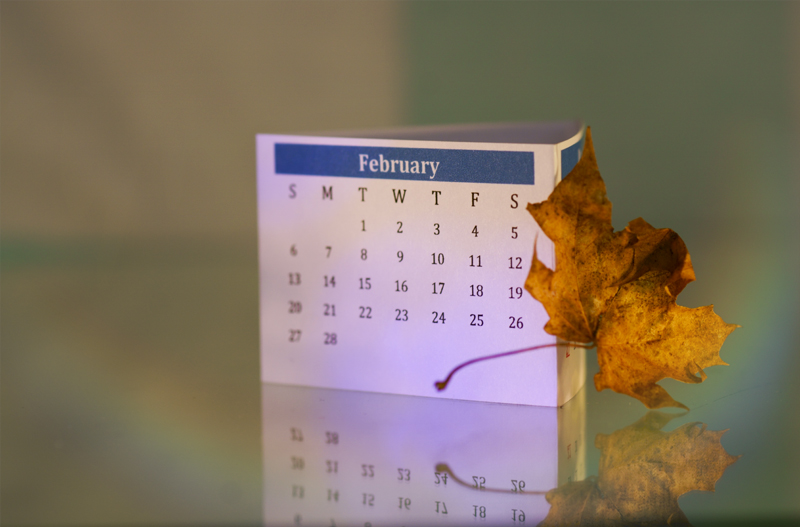 calendar for February 2022