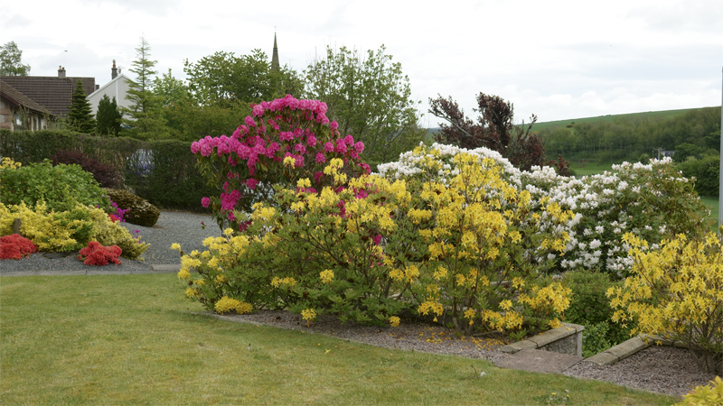 The front garden and rockery