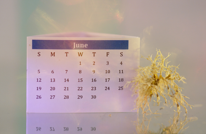 Calendar for June 2022