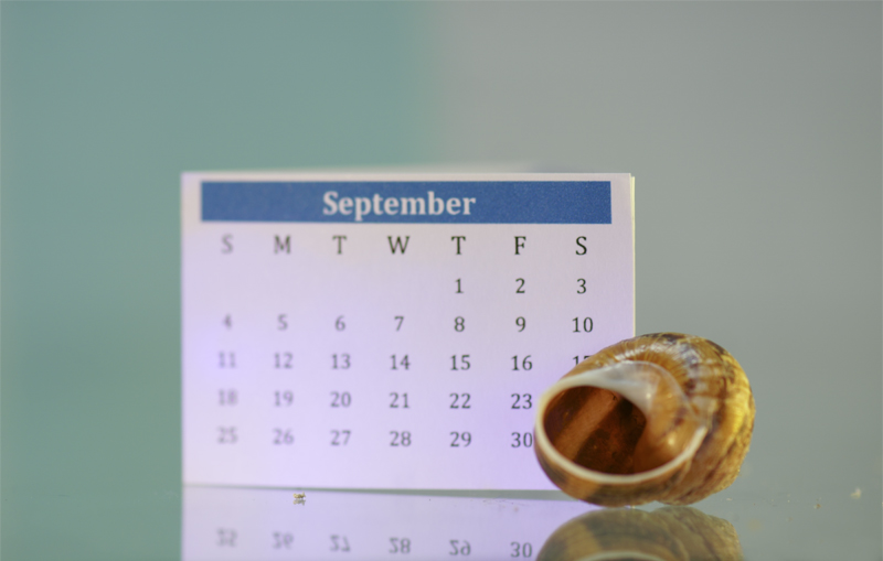 calendar for September