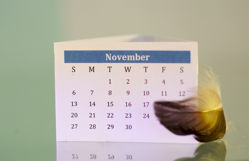 November 2022 calendar