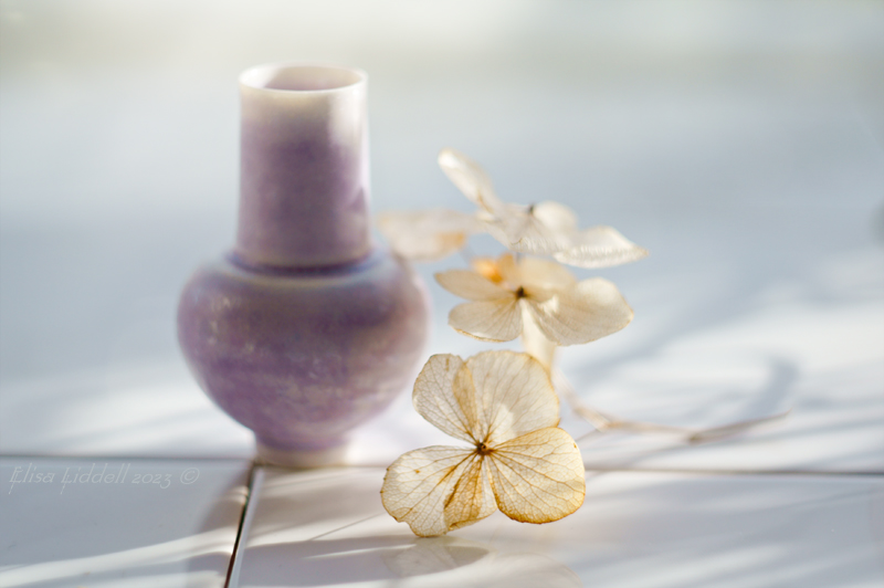 miniature vase and hydrangea